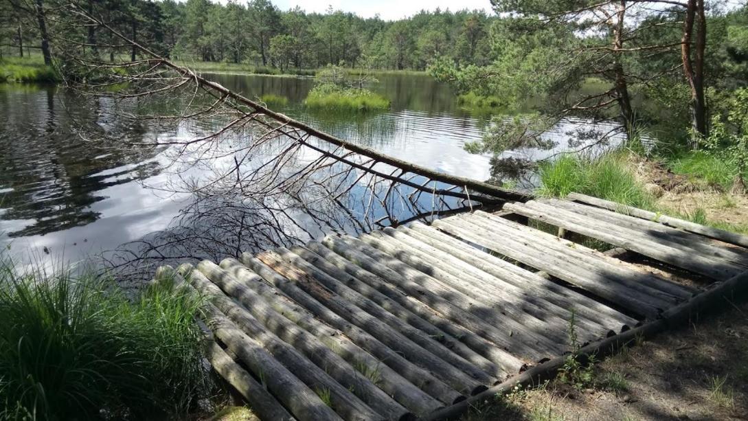 Ostoja Sosnowa Czarny Mlyn, kompleks dwóch nowych domkow Exterior foto